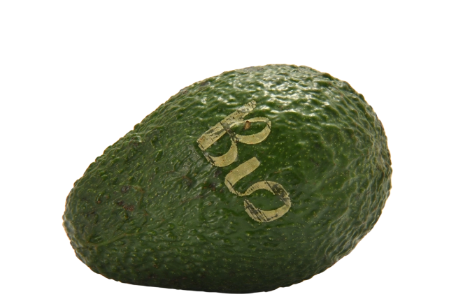 BIO laser avocado transparante BG